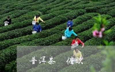 普洱茶 催眠/2023042954099